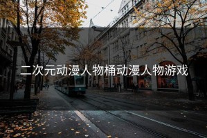 二次元动漫人物桶动漫人物游戏