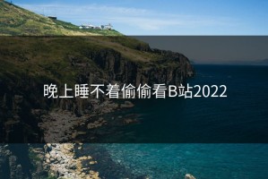 晚上睡不着偷偷看B站2022