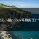 混乱小镇popuv笔趣阁无广告