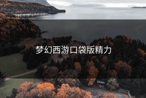 梦幻西游口袋版精力