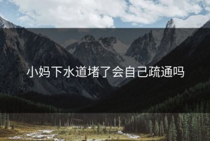 小妈下水道堵了会自己疏通吗