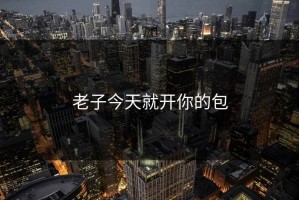 老子今天就开你的包