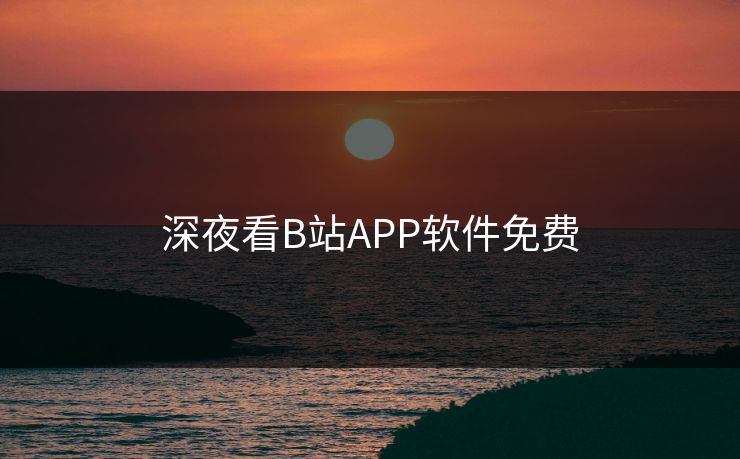 深夜看B站APP软件免费