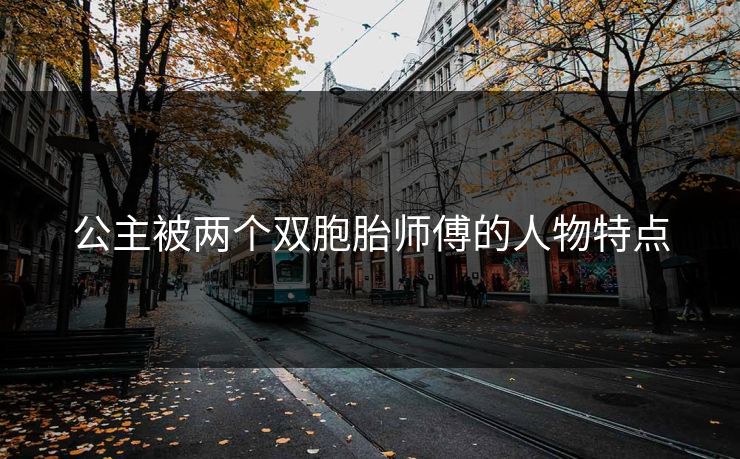 公主被两个双胞胎师傅的人物特点