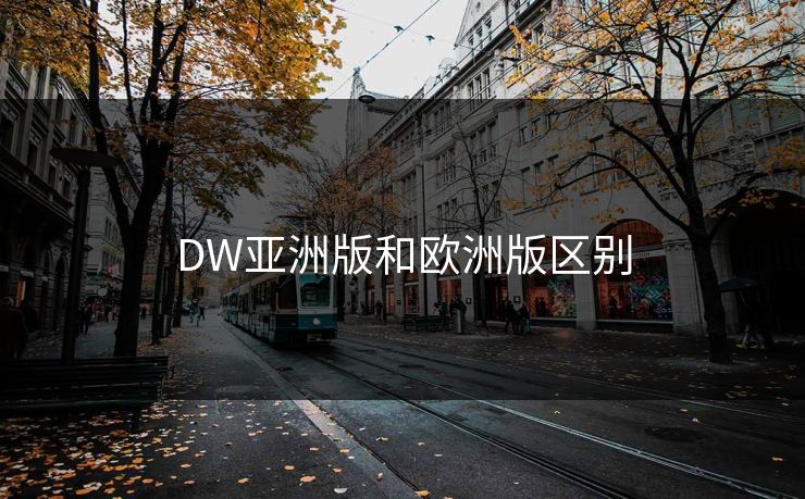 DW亚洲版和欧洲版区别